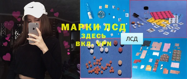 PSILOCYBIN Бородино