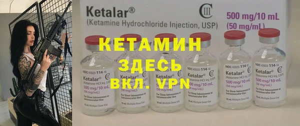 PSILOCYBIN Бородино