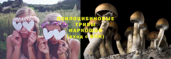 2c-b Богородицк