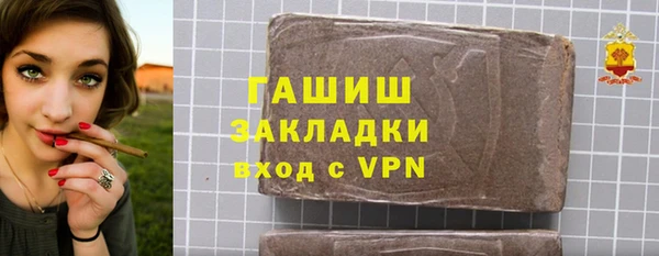 PSILOCYBIN Бородино