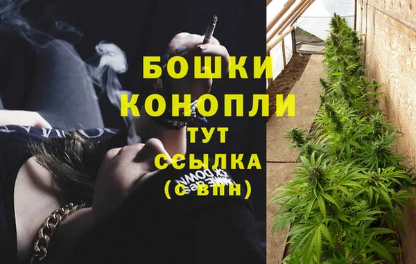амф Богданович
