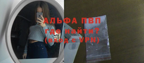 PSILOCYBIN Бородино