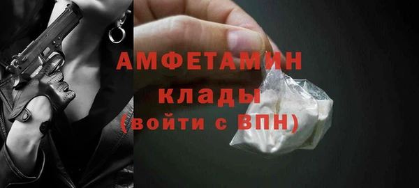 PSILOCYBIN Бородино