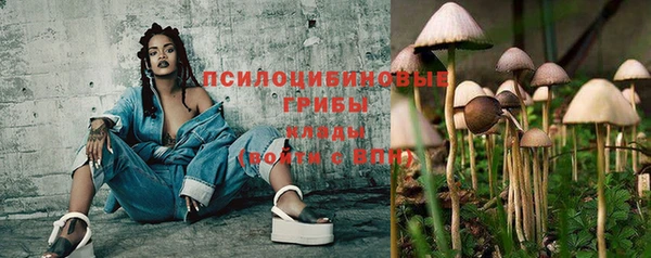 PSILOCYBIN Бородино