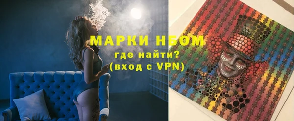 гашик Богородск
