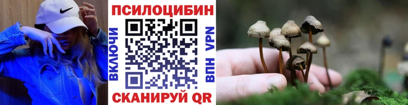 Псилоцибиновые грибы Psilocybine cubensis  Губкинский 